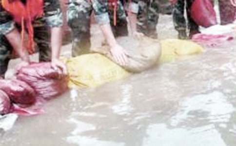 防汛抗洪工作总结通用15篇