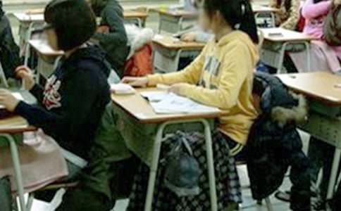 �����������п��Ե�����300�ּ���8ƪ