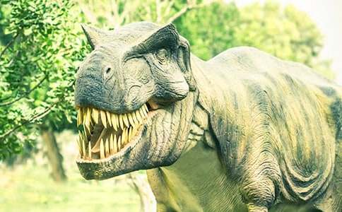 ����������300��