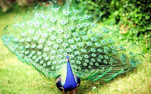 ��ȸ�����ģ����㣩