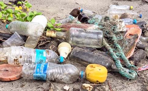 ��������־Ը��ܽ�