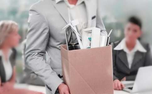 ������ְ���뱨�泣�ã�15ƪ��