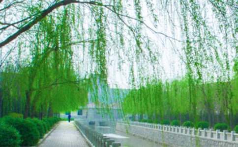 ��ѡ�������꼶���Ľ���10ƪ