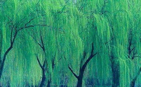 ���꼶����������