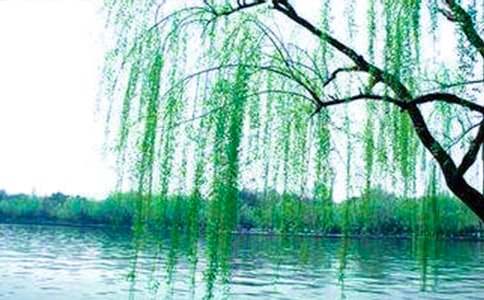 �������꼶����