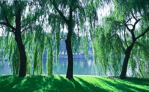 �й��������꼶���ĺϼ���ƪ