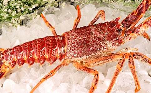 小龙虾作文700字