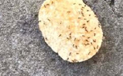 ���ϵ�ͯ�����½�����15ƪ��