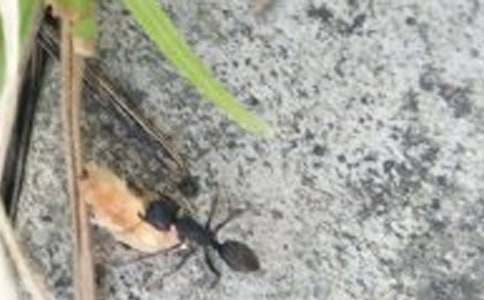 ���ϵ��ռ�����300����ƪ