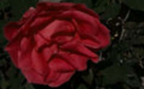 ä��õ���Ķ���