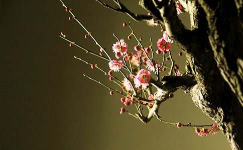 ���й���÷����������