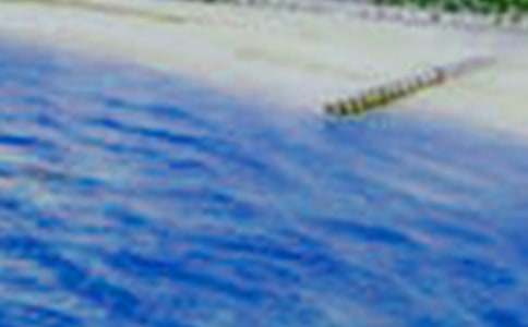 四年级乡村美景作文300字三篇