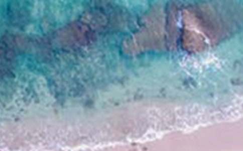 ����������400����ƪ