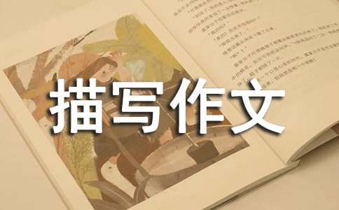 ������д����500�֣���ѡ13ƪ��