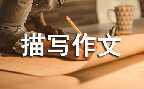 Сѧ������д����