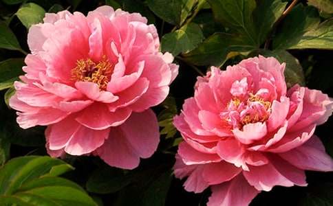 ĵ���ڵ�����ͨ��