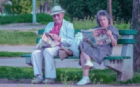 �����š���������300��3ƪ