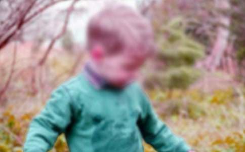 ���漣�к����ۺ��15ƪ