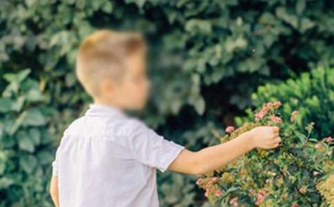 ���������漣�к����ۺ��