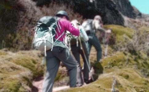 爬山活动策划书