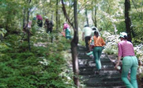 ���꼶��ɽ������