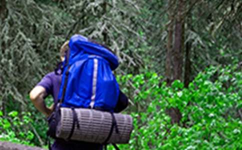 ��ѡ��ɽ���ռǼ���7ƪ