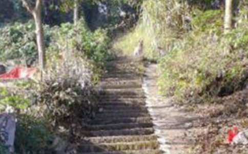 ��ɽ���꼶����(15ƪ)