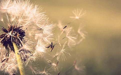 ����Ʒ���ѹ�ӢСѧ���ĺϼ���ƪ