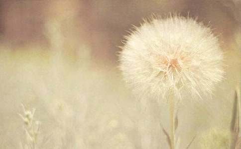 �ѹ�Ӣ�������꼶