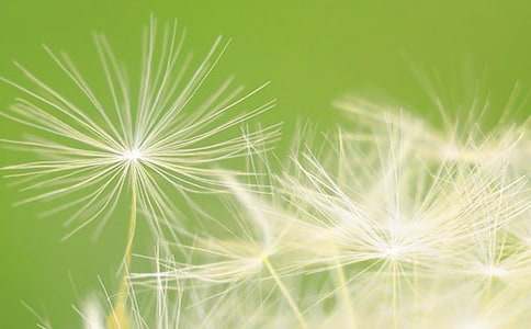 ����ѡ���ѹ�ӢСѧ���Ļ�����ƪ