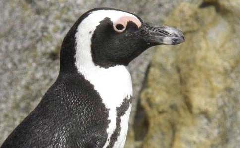 ��������졷�����