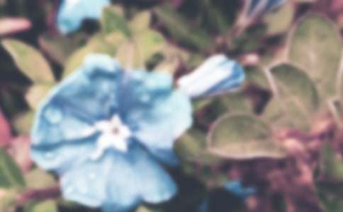 ����ѡ���۲�ǣţ��������ƪ