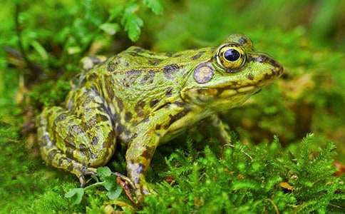 С���ܵ�ͯ������