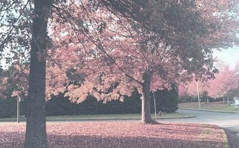 �＾�а๤���ƻ�15ƪ