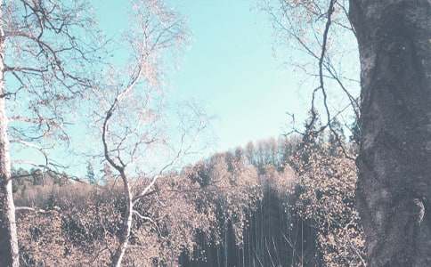 �＾��ȫ�����ƻ�