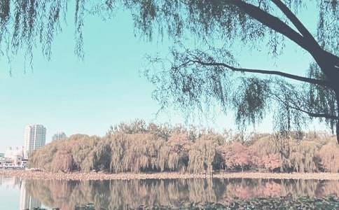 ���ڱ����＾�����ƻ�3ƪ