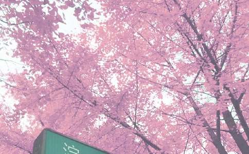 ��ѡ�＾С�๤���ƻ�4ƪ