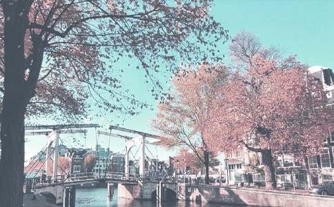 �＾���������ܽ�