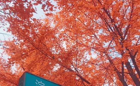 ��ѡ��������300��3ƪ