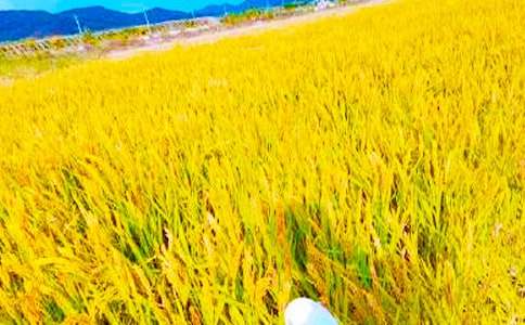 ���Ƽ�����������300��4ƪ