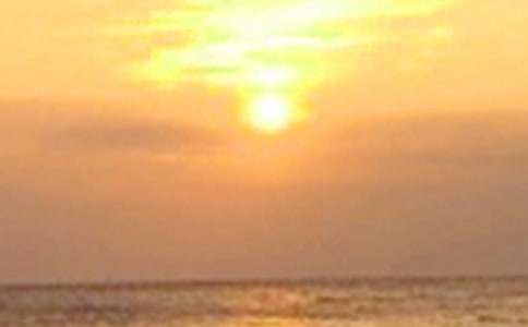 日落即景作文五年级