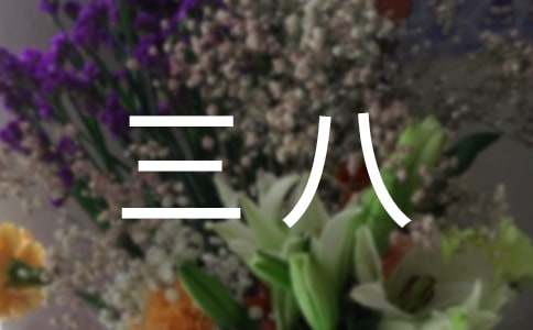 三八红旗手标兵事迹材料