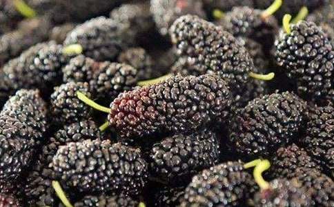 Ժ�е�ɣ��������