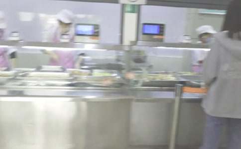 ʳ�������ܽ�ϼ�15ƪ