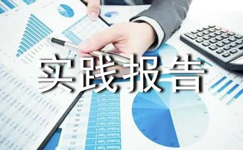 初中生社会实践报告