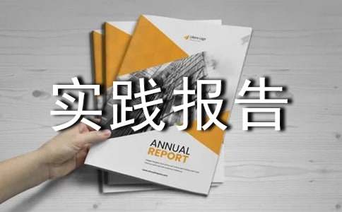 企业暑假社会实践报告