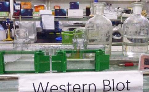 ʵ���ҹ����ƻ�