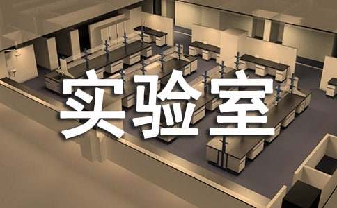 ʵ���ҹ��������ƶ�(��ѡ)