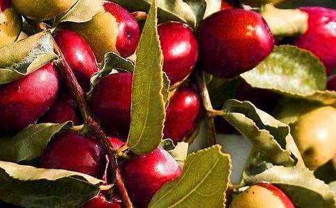 �����š����꼶ˮ������300����ƪ