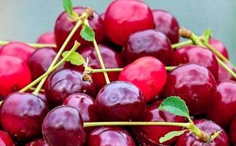 �й�ˮ�����꼶���Ľ�����ƪ